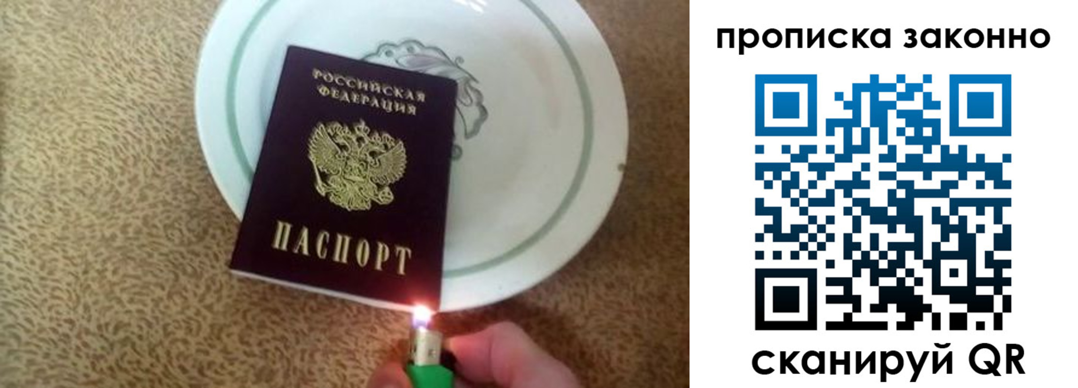 прописка поиск в Щиграх